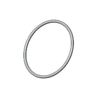 O-ring